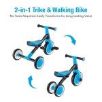 GLOBBER LEARNING TRIKE (2 IN 1) - SKY BLUE