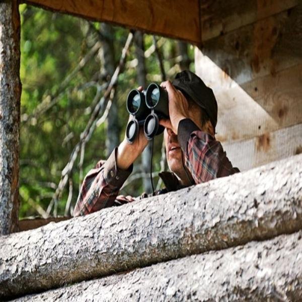 SWAROVSKI EL 10x42 Binocular- Green, 336 ft/1000 yds