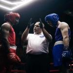 STING COMPETITION AIBA HEAD GUARD - L - BLUE - S2AH-0303