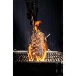 TRAEGER MEATER PRO WIRELESS MEAT THERMOMETER - RTE-MT-MP201