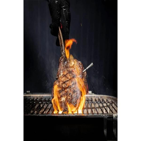 TRAEGER MEATER PRO WIRELESS MEAT THERMOMETER - RTE-MT-MP201