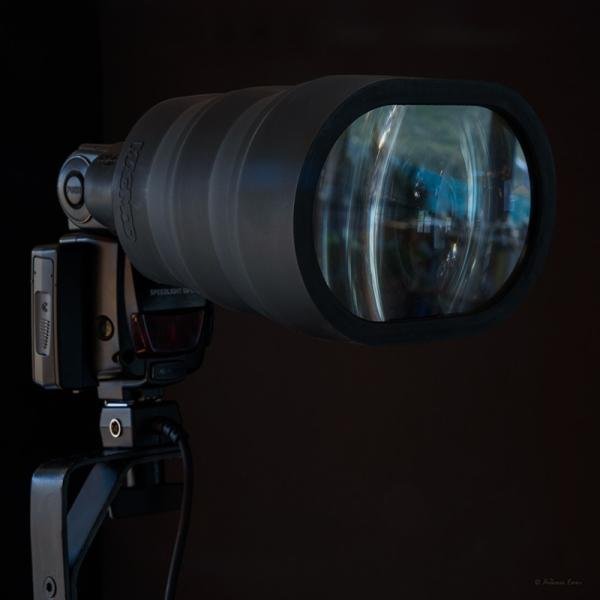 Magmod MagBeam Wildlife Kit - MMBEAMW01