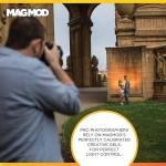 Magmod Pro Artistic Gels - MMPRARGEL01