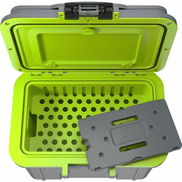 Pelican 8QT PERSONAL COOLER DKGRY/EGRN - 8Q-1-DKGRYEGRN