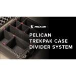 Pelican 1650TP,WL/TP INSERT,BLACK - 016500-0050-110