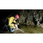 Pelican 1150,WL/WF,BLACK - 1150-000-110