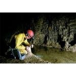 Pelican 1150NF,WL/NF,SILVER - 1150-001-180