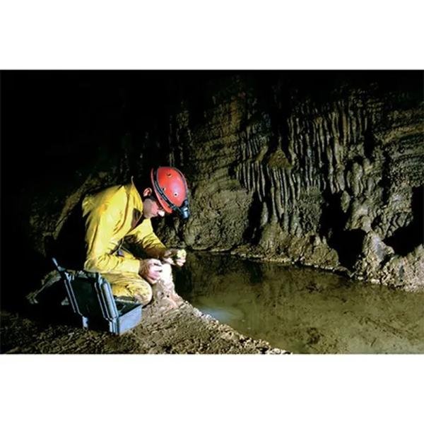 Pelican 1150NF,WL/NF,SILVER - 1150-001-180