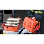 Pelican 1460EMS,WL/EMS,BLACK - 1460-005-110