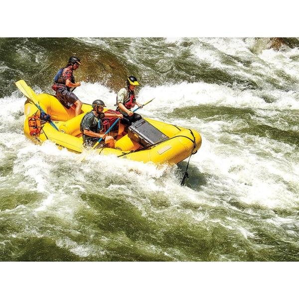 Pelican 1610NF,WL/NF,BLACK - 1610-021-110