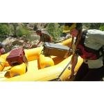 Pelican 1610NF,WL/NF,OD GREEN - 1610-021-130