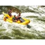 Pelican 1624,WL/WD,BLACK - 1620-024-110