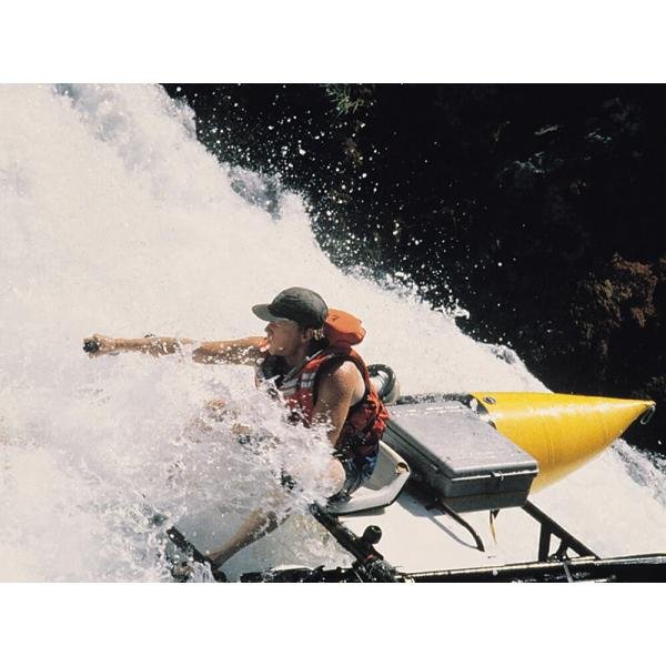 Pelican 1650NF,WL/NF,BLACK - 1650-021-110