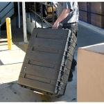 Pelican 1730,WL/WF,BLACK - 1730-000-110