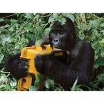 Pelican IM2750 CASE,221713,YELLOW,w/BBBw/Foam - IM2750-20001