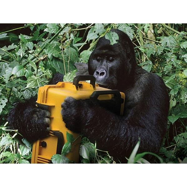 Pelican IM2750 CASE,221713,YELLOW,w/BBBw/Foam - IM2750-20001