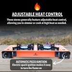 Procamp FLAMEKRAFT PORTABLE DOUBLE BURNER GAS STOVE WITH BACK COVER - PRO000183