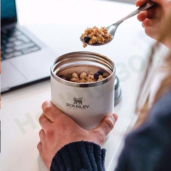 Stanley ADV FJ 530ml/18oz To-Go Polar - 10-10836-007