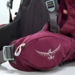 Osprey Renn 50 Aurora Purple O/S **DISC** - 10001767