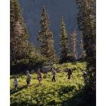 Osprey Katari 3 w/Res Black O/S **DISC** - 10001772