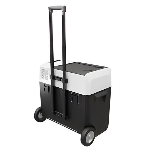 Frozen Cooler 50L [FC50-P] Premium - FC5017-P