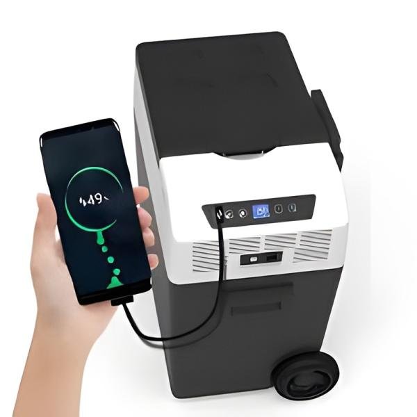 Frozen Cooler 50L [FC50-P] Premium - FC5017-P