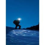 Ledlenser MH7 Black&Yellow Window Box **EOL** - LL502154