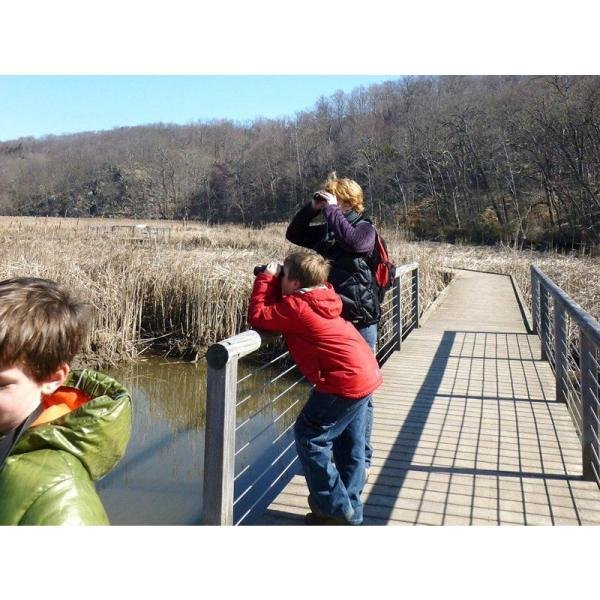 Vanguard Vesta 1021 BP Binocular ***EOL*** - VG2223