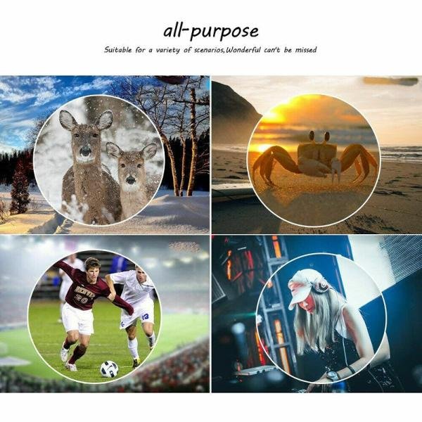 Vanguard Vesta 10X25 Binocular ***EOL*** - VG2226